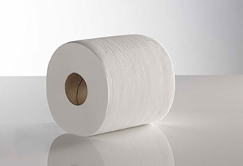 Toilet-Roll-2ply-320-sheet